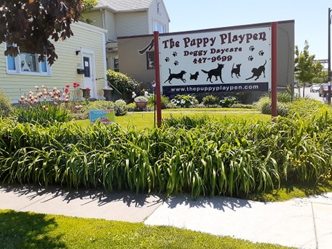 The Puppy Playpen | Delaware